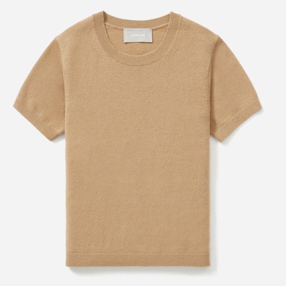 Everlane Cashmere Sweater Tee in Camel